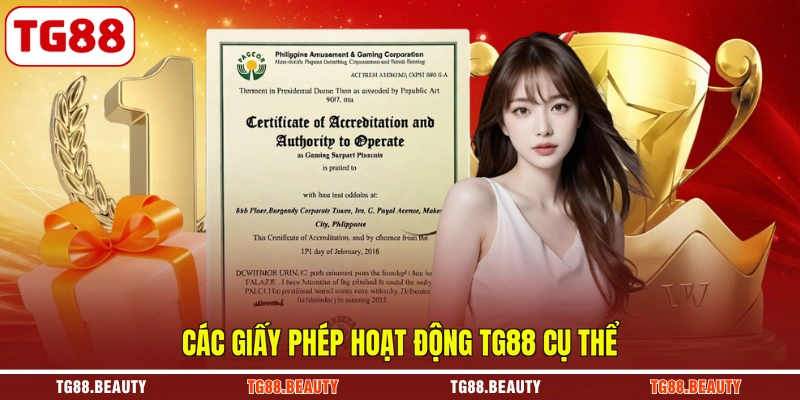 Các giấy phép hoạt động TG88 cụ thể