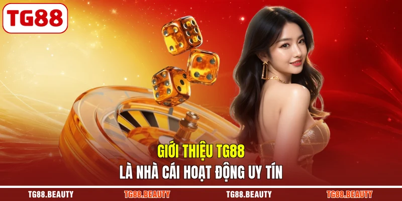 Giới thiệu TG88 là nhà cái hoạt động uy tín