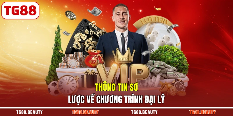 Thông tin sơ lược về chương trình đại lý